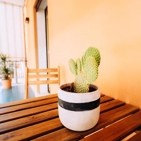 Donna Concetta Seaside 公寓 *